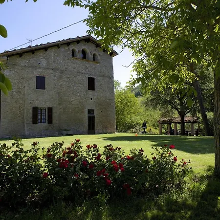 Rustic In With Pool 別荘 *