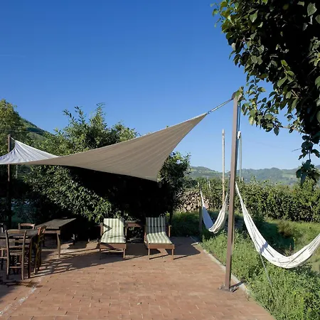 Rustic In With Pool 別荘 Modigliana