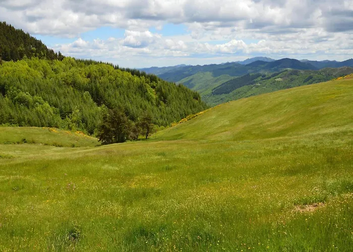 Rustic In With Pool * Modigliana